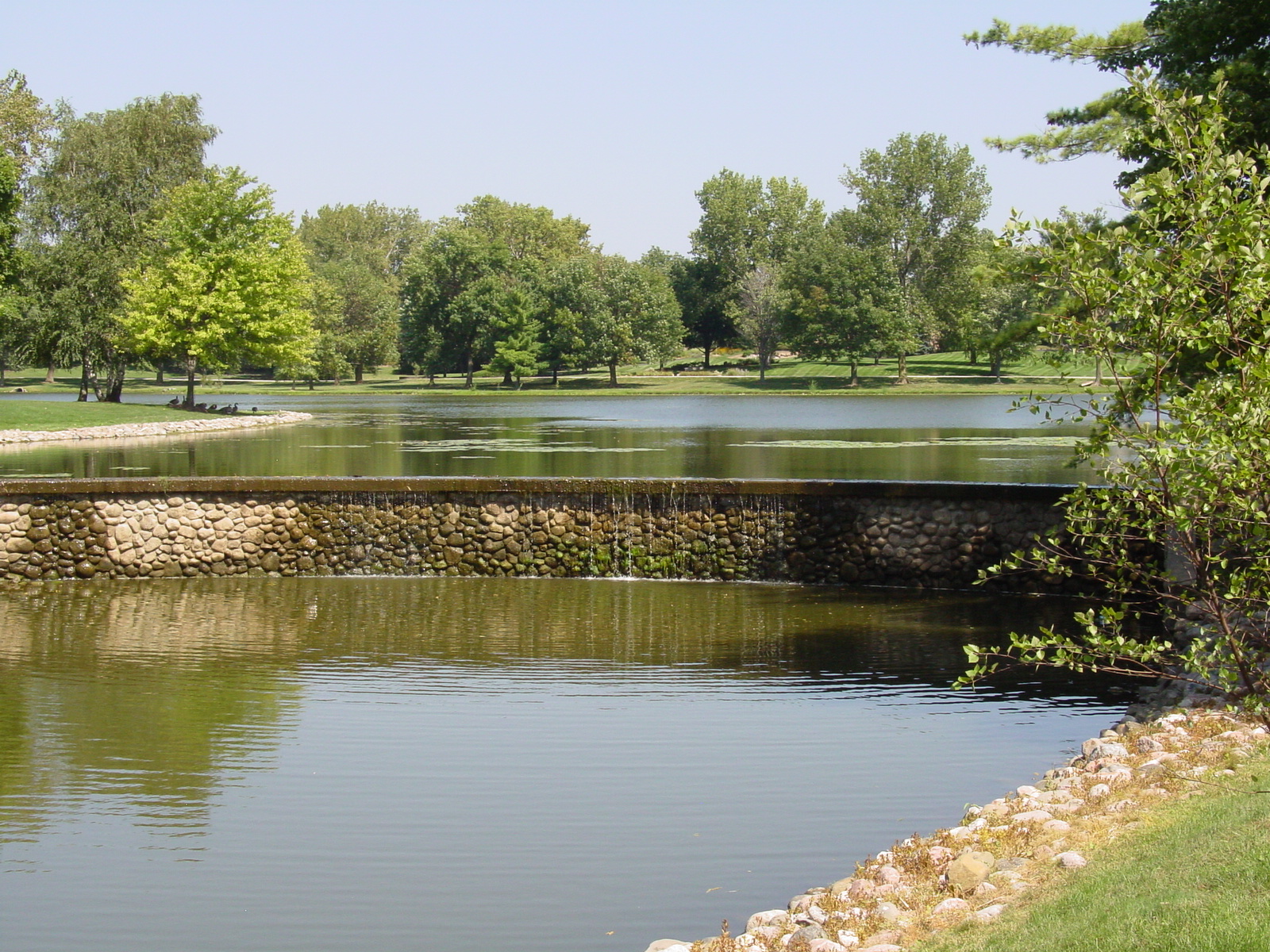 Lake Adalyn